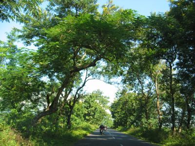 in west bengal