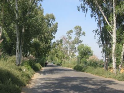 entering Punjab