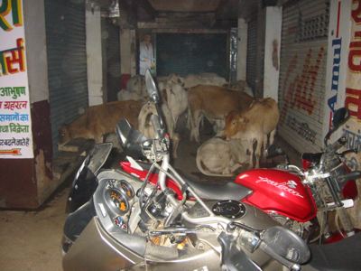 parking in Darbanga