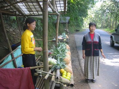 pineapple vendors