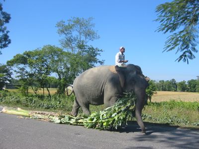 passing traffic